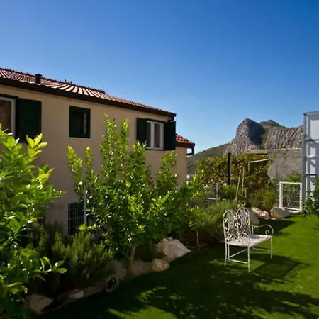 House Miho Omis
